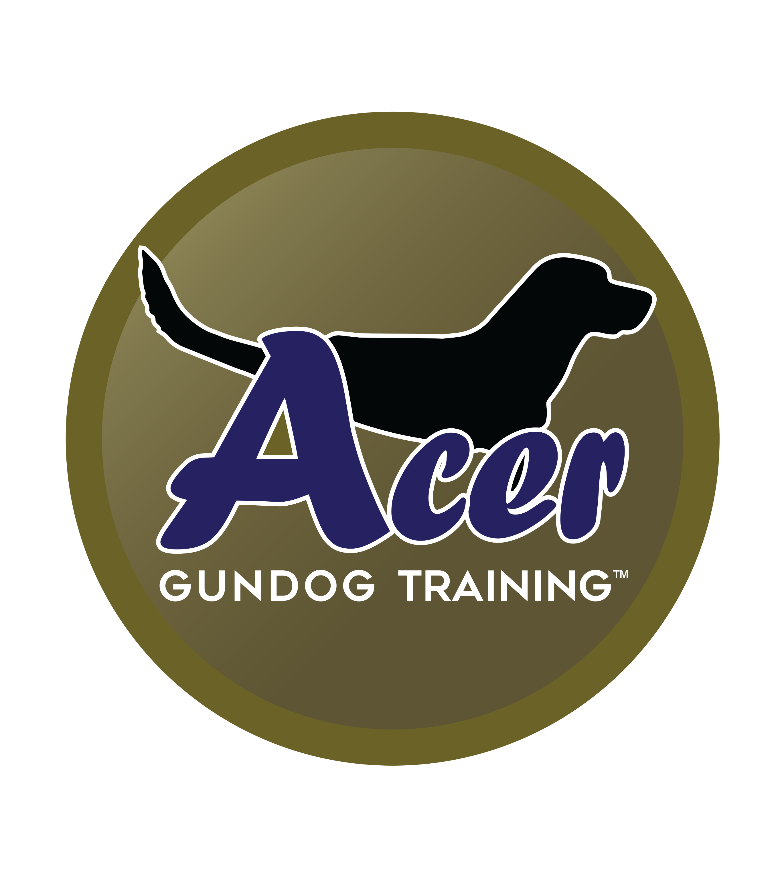 Acer Gundog Training