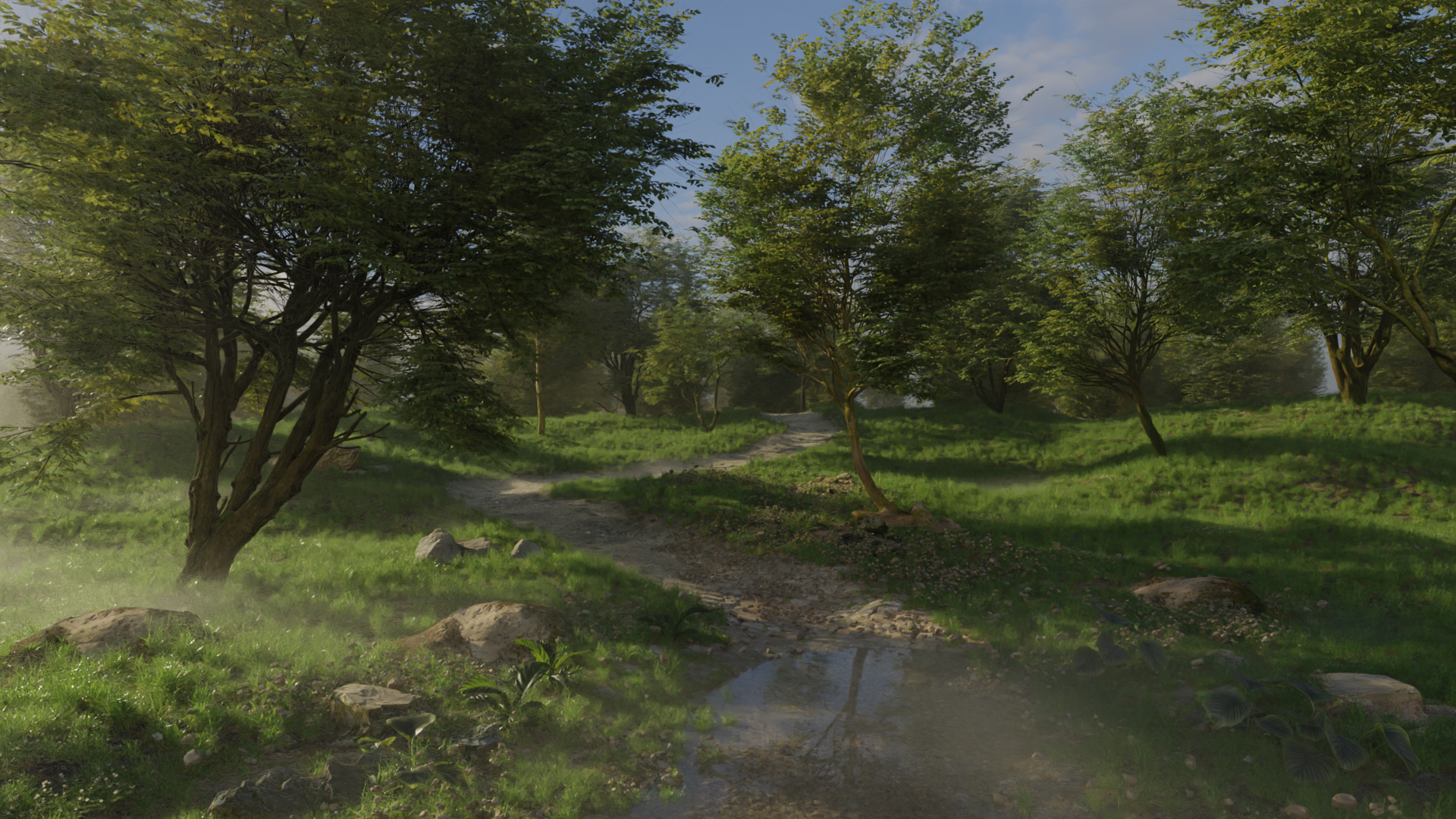 Forest path complete | CG Boost Community