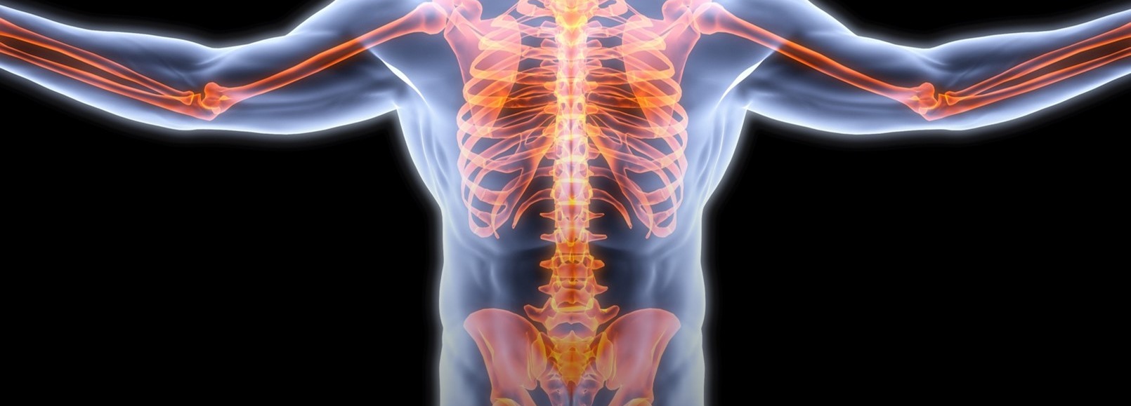 Human Body Systems and Adaptation | Keiser Community