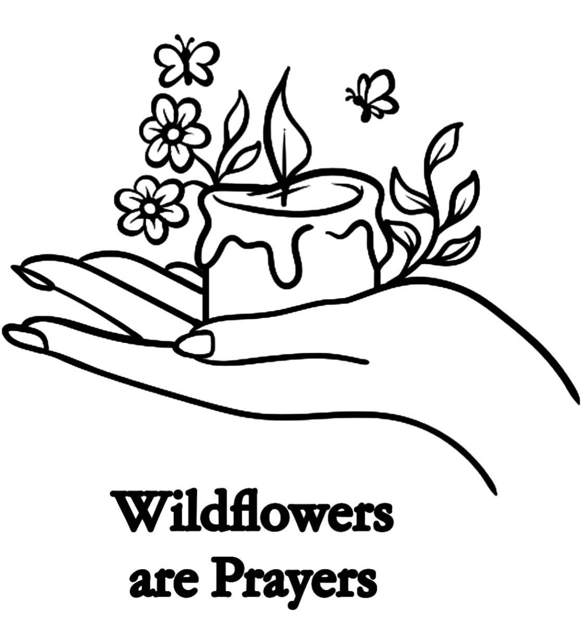 3 Dm 5 Cm B Ng Bao Nhi U Xentim T