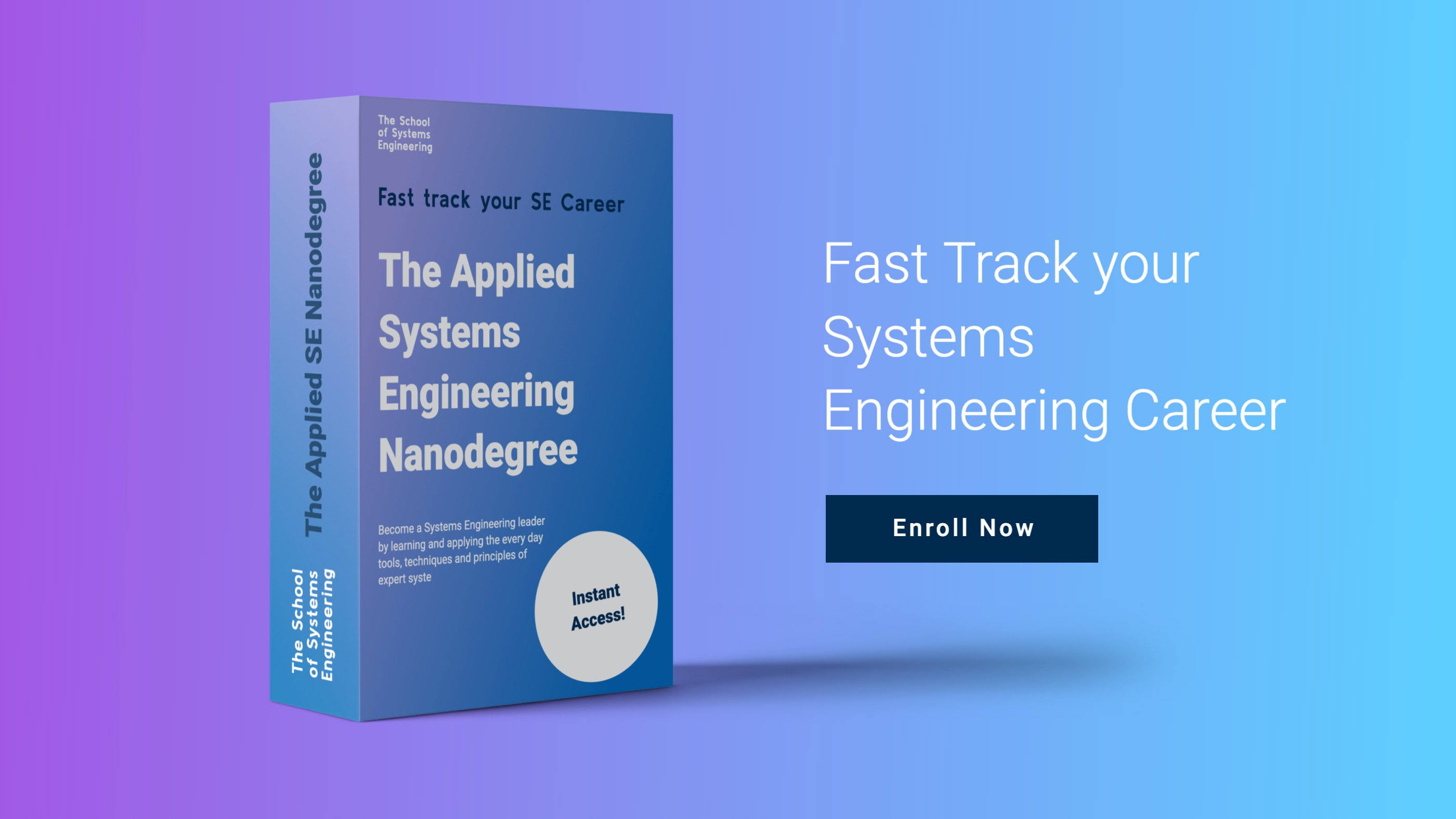 The School of Systems Engineering