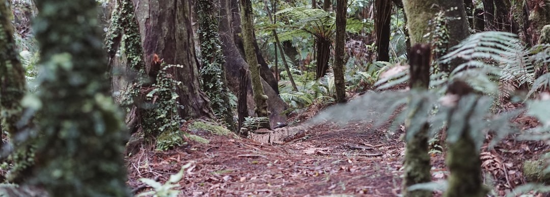 Broadband out on the trail? Virginia Congressman wants to make it happen Thumbnail Image