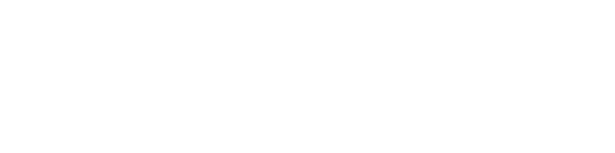 Leader Assistant